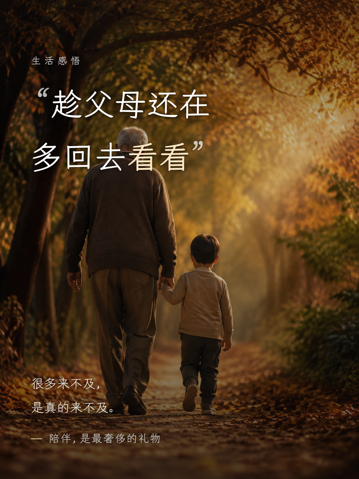生活感悟·父母